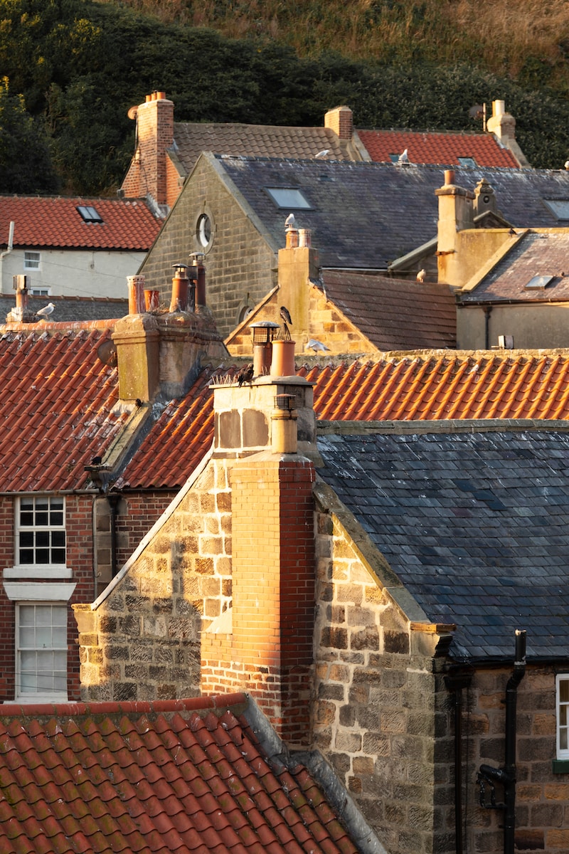 a group of rooftops with a brick building in the background